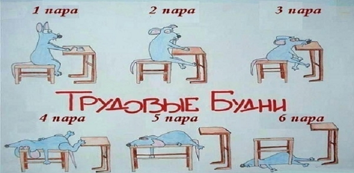 Анекдоты про учёбу_002